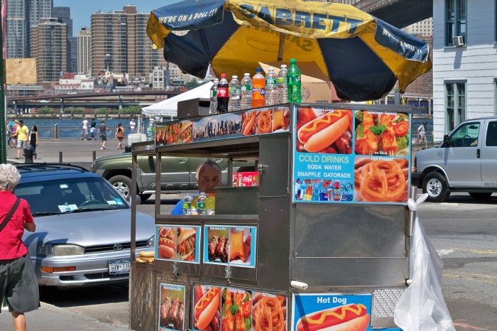 DayinBrooklyn073110 014