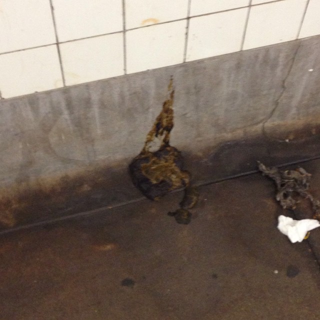 Note: Not the first time I've seen this in the exact same spot. Could be CHUD scat.