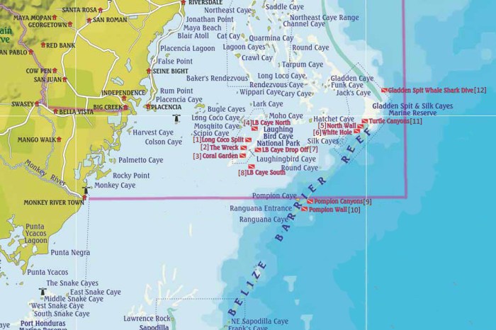 It's in there. Somewhere.