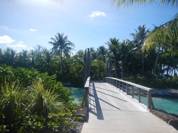 Take a little walk with me.