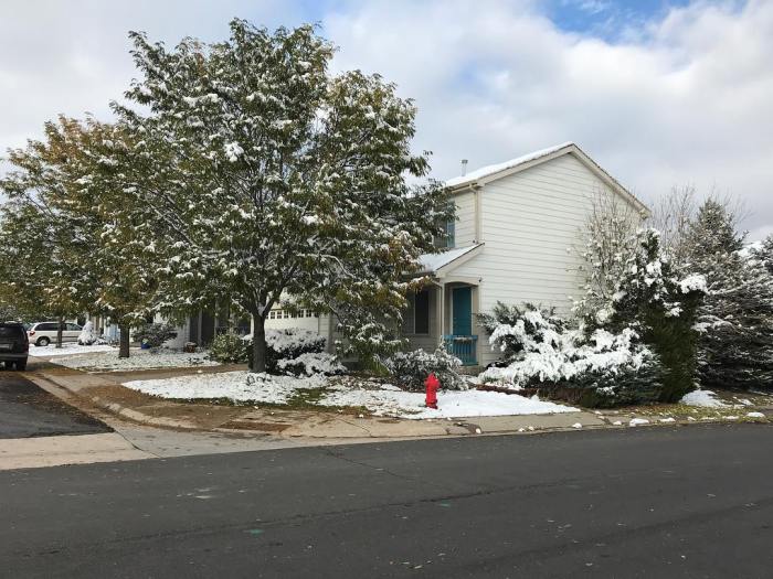 44067992_10156929507208092_6978667564977094656_o